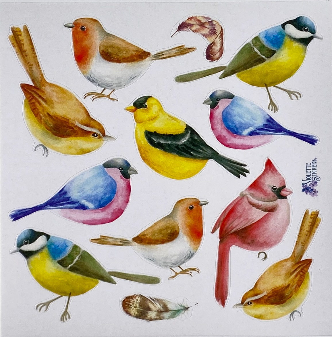 Early Birds Sticker Sheet