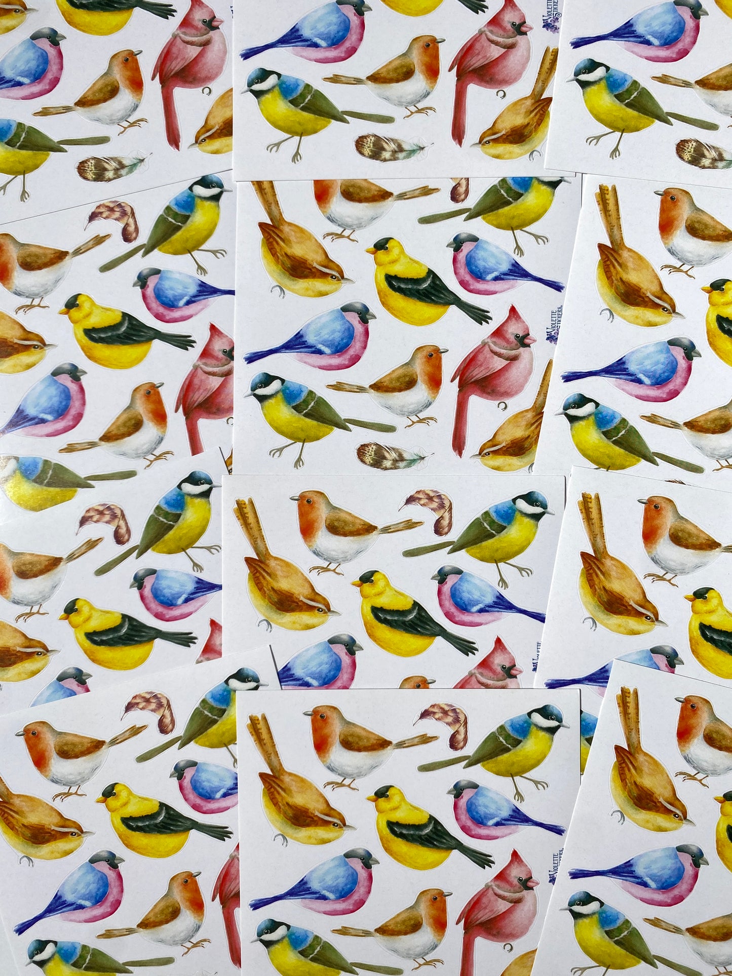 Early Birds Sticker Sheet