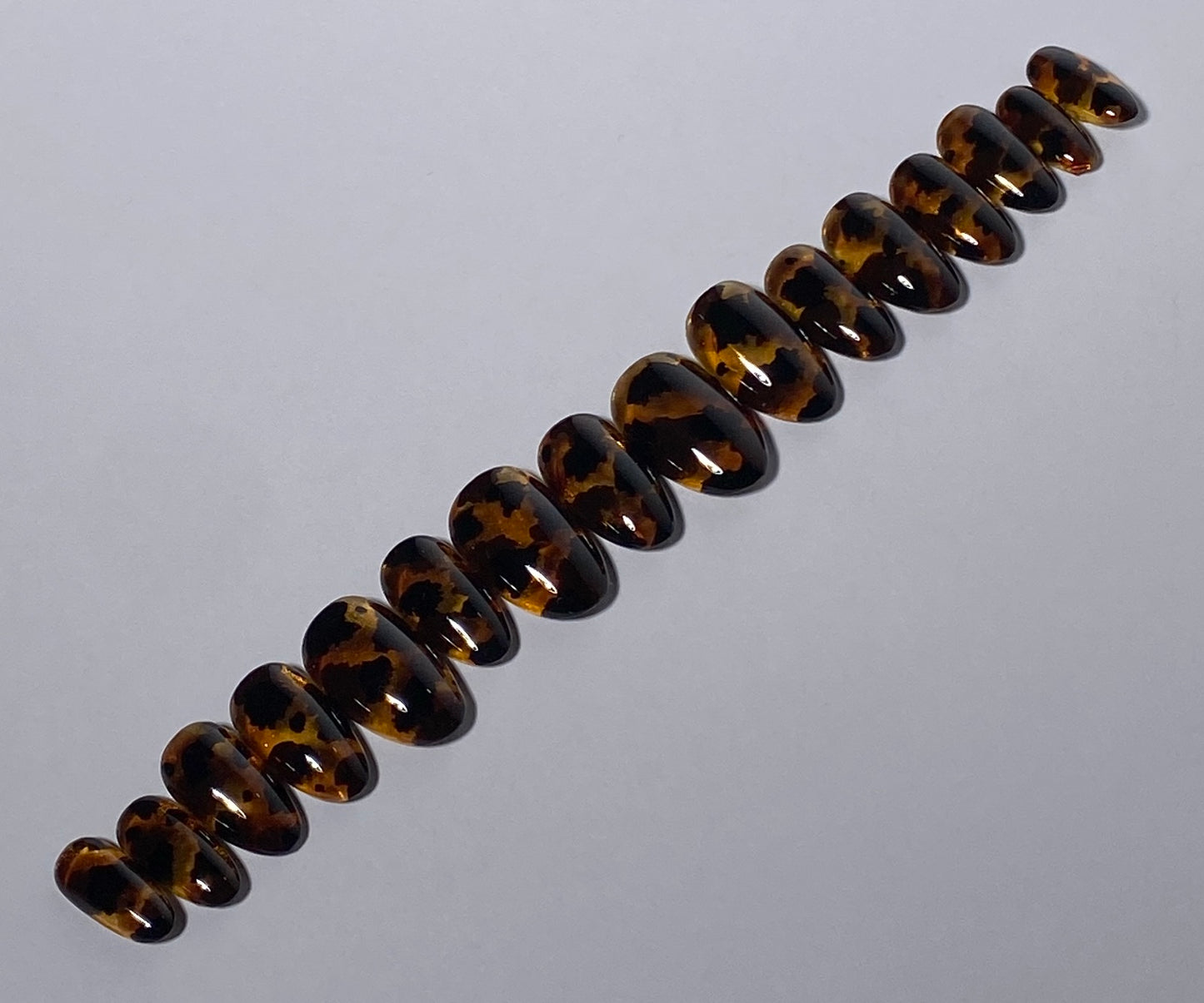 Tortoise Shell with Cateye Base